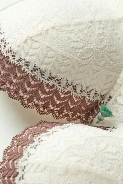 Best deal 💯 Intimissimi 👩 Women Spices Garden Elettra Super Push-up Bra Vanilla/nutmeg Brown 🛒 -panties Sales Store RPD2467992I D1